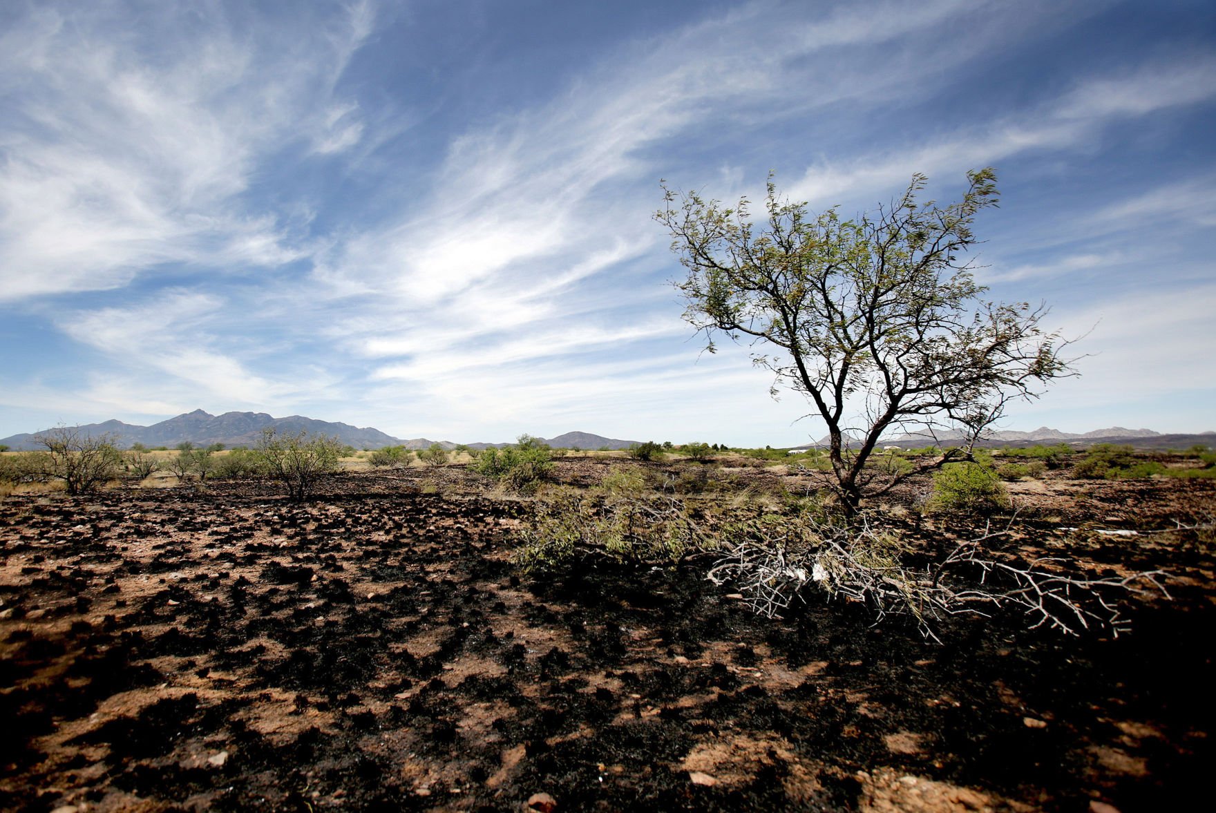 Sawmill Fire